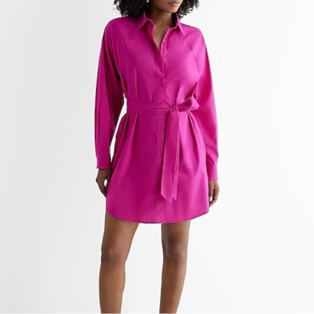 Express Portofino Pink Shirt Dress (Size L)